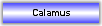 Calamus